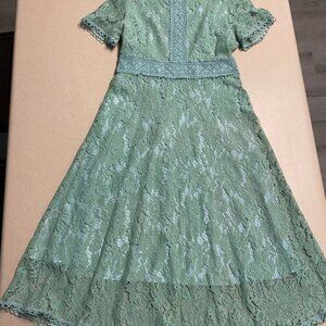 Chic Lace A-Line Dress in Soft Green